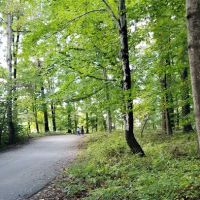 Hollofield Campground ico