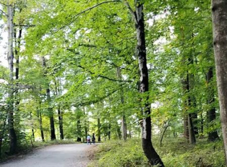 Hollofield Campground