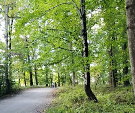 Hollofield Campground