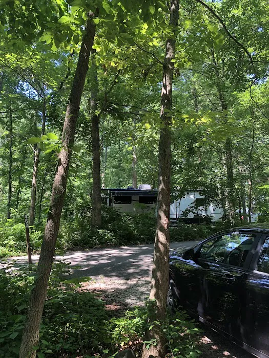 Hollofield Campground Picture 2