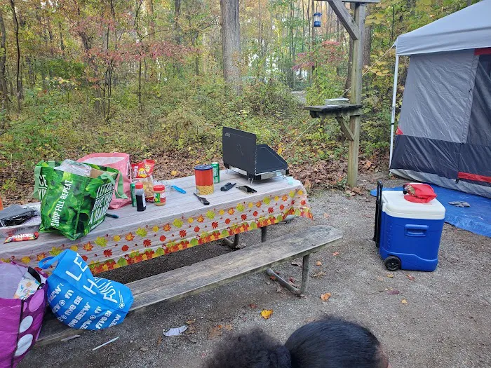 Hollofield Campground Picture 7