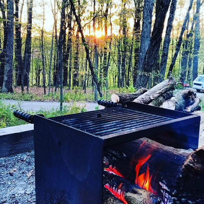 Hollofield Campground Picture 8