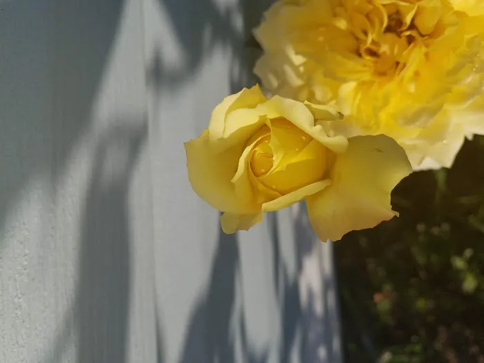 Valley View Mobile Home Park Picture 9