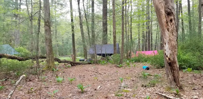 Pinegrove furnace, group camping area Picture 3