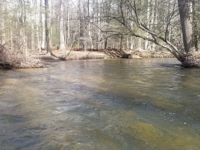 Pinegrove furnace, group camping area Picture 10