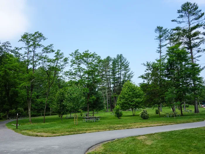 Pinegrove furnace, group camping area Picture 6