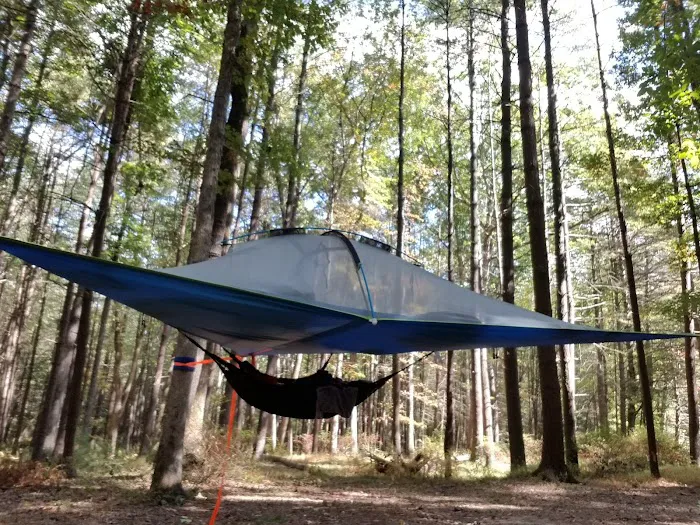 Primitive Campsite #5 Picture 7