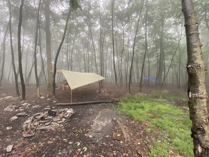 Primitive Campsite #4 Picture 6