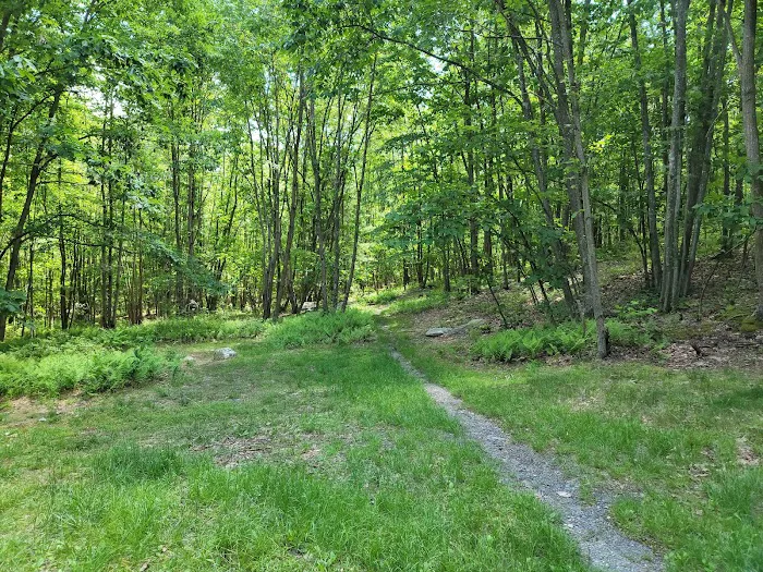 Primitive Campsite #7 Picture 1