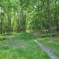 Primitive Campsite #7 ico