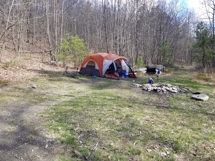 Primitive Campsite #7 Picture 3