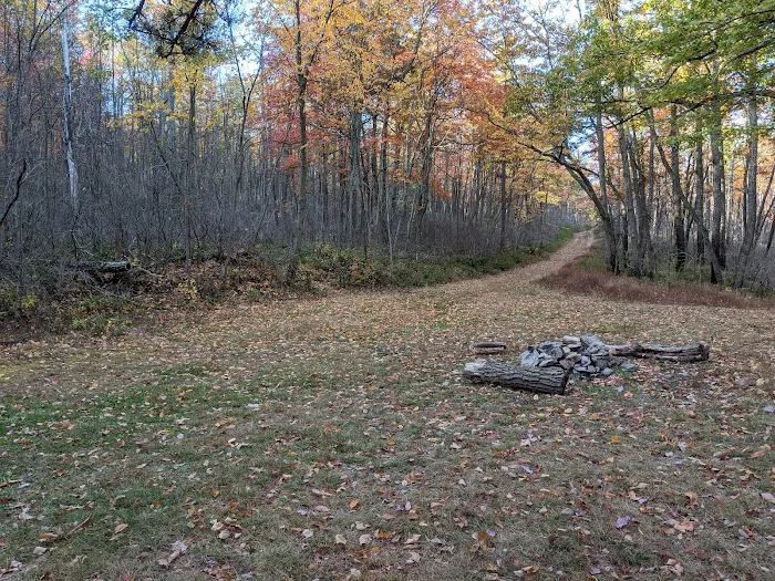 Primitive Campsite #8 Picture 4