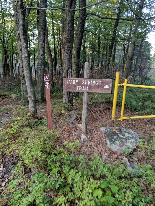 Primitive Campsite #8 Picture 9
