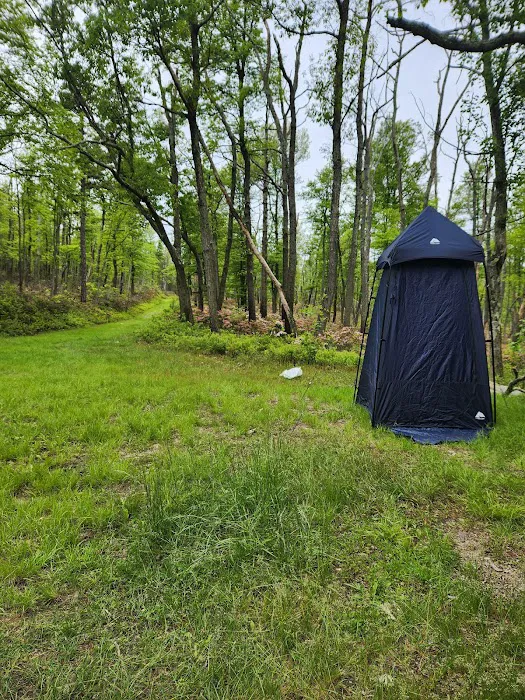 Primitive Campsite #8 Picture 1