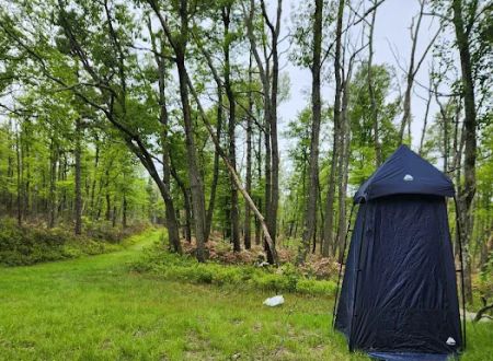 Primitive Campsite #8