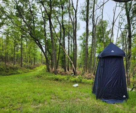 Primitive Campsite #8