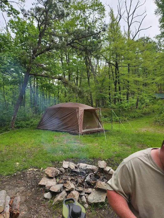 Primitive Campsite #8 Picture 5