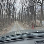 Tuscarora State Forest Campsite 097