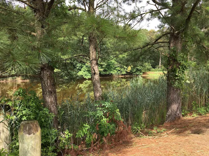 Island Resort Campground Picture 9
