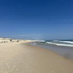 Assateague State Park Youth Group Campsites