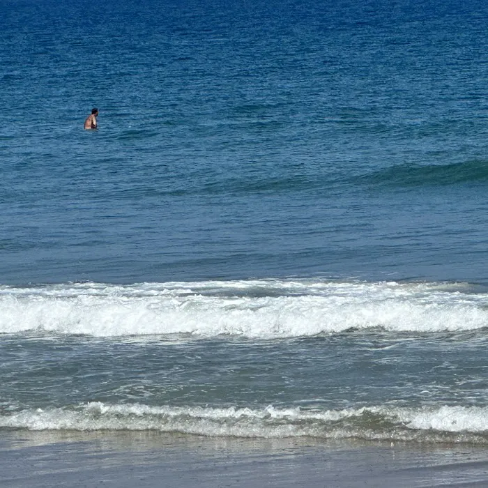 Assateague State Park Youth Group Campsites Picture 7