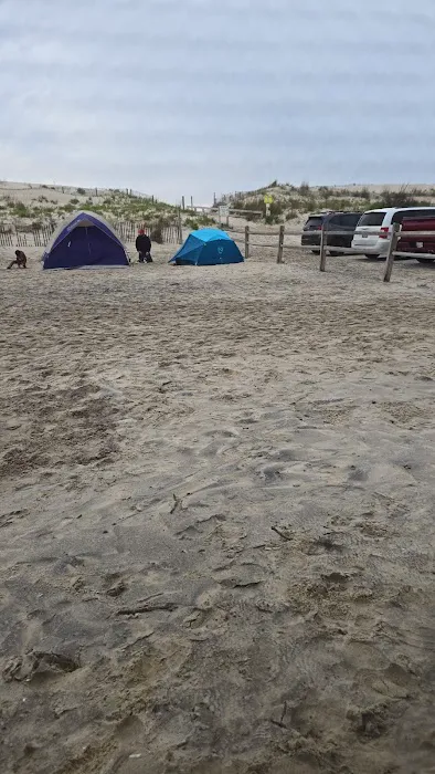 Assateague State Park Youth Group Campsites Picture 3