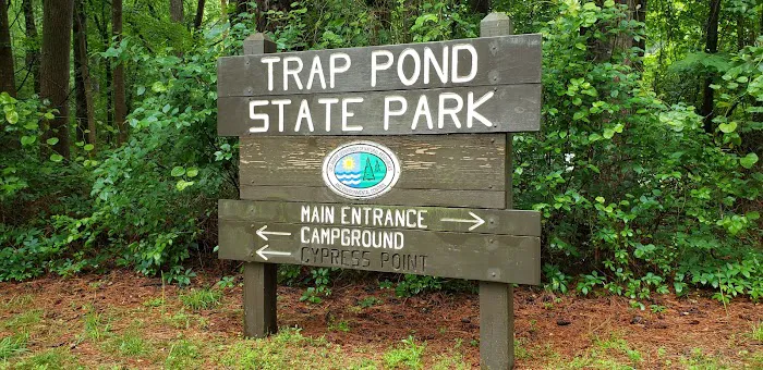Trap Pond Picture 5