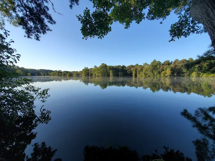 Trap Pond Picture 8