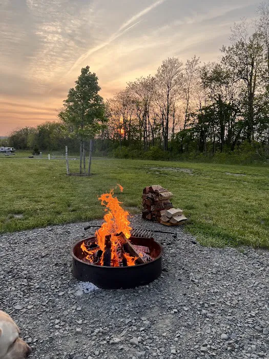 Finger Lakes RV Resort Picture 8