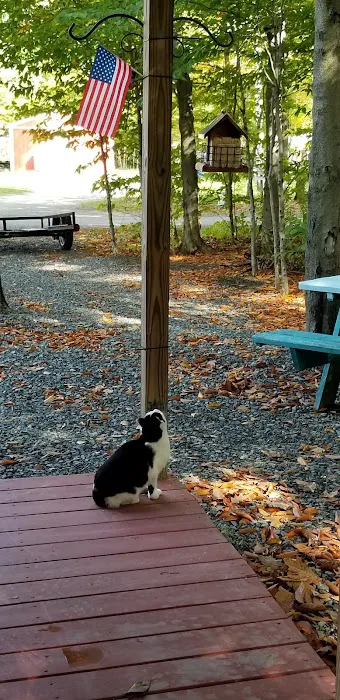 Paradise Park Campground Picture 1