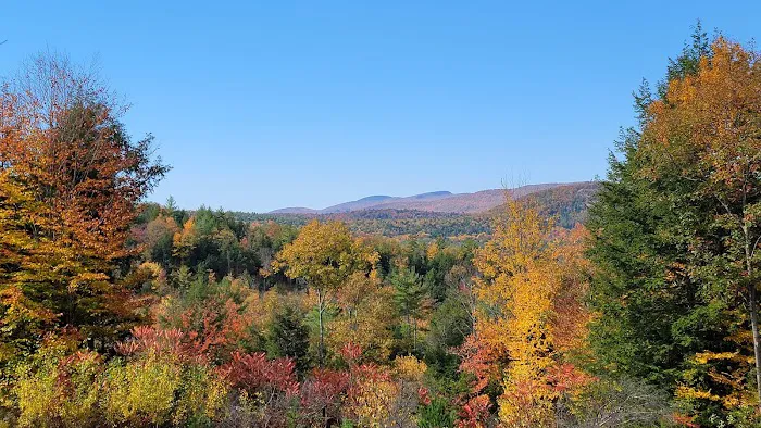 Queen Village Camp Ground Picture 5