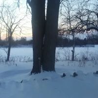 Applewood Mobile Home Estate ico