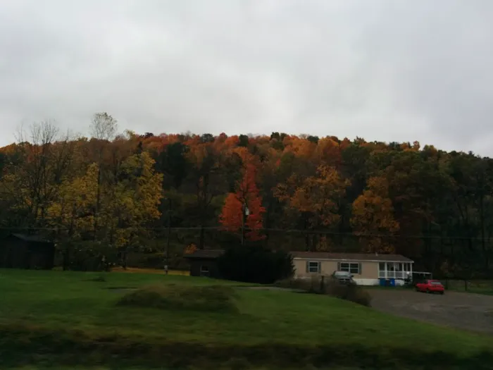 Meadows Park Trailer Park Picture 1