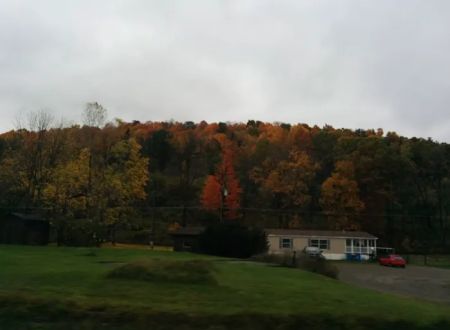 Meadows Park Trailer Park