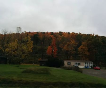 Meadows Park Trailer Park