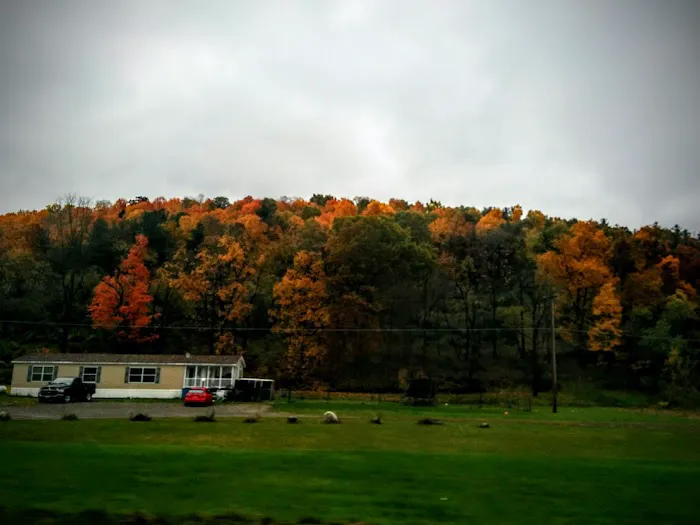 Meadows Park Trailer Park Picture 2