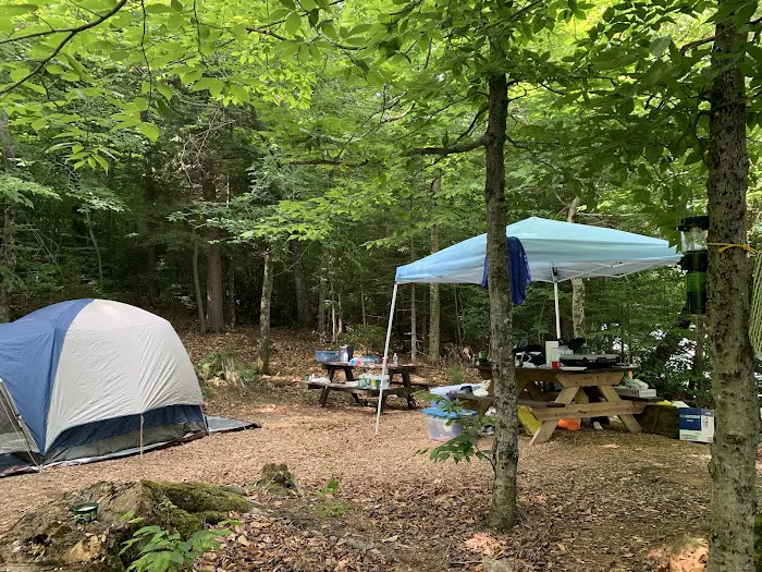 Indian Lake Islands Campground - Campsite #48 Picture 10
