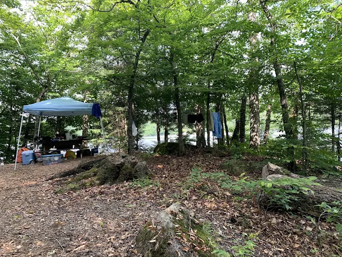 Indian Lake Islands Campground - Campsite #48 Picture 7
