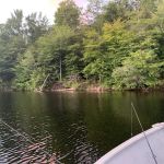 Indian Lake Islands Campground - Campsite #42