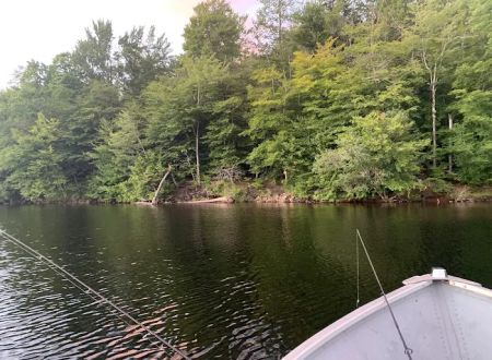 Indian Lake Islands Campground - Campsite #42
