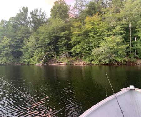 Indian Lake Islands Campground - Campsite #42