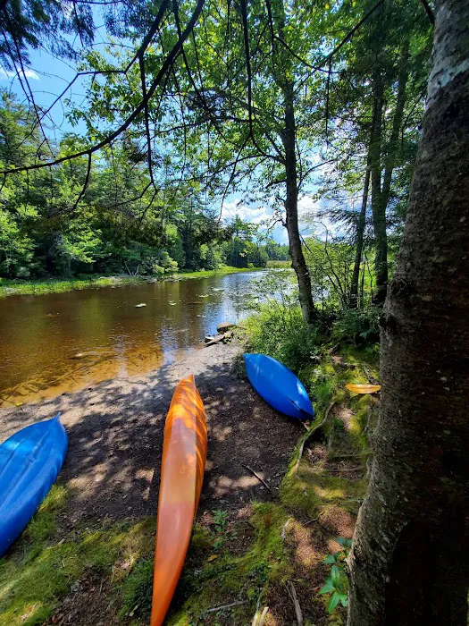 Lewey Lake Campsite Picture 7