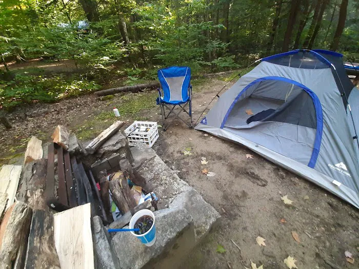 Indian Lake Islands Campground - Main Office/Ranger Station/Boat Ramp Picture 5