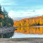 Indian Lake Islands Campground - Campsite # 31