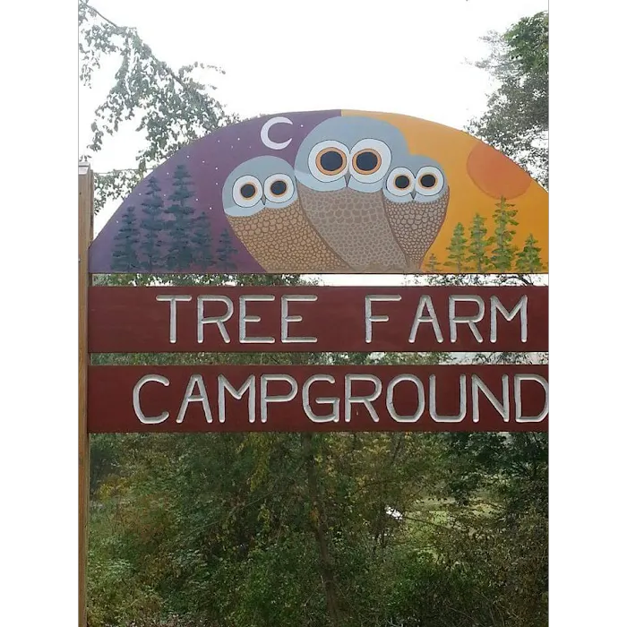 Tree Farm Campground Picture 9