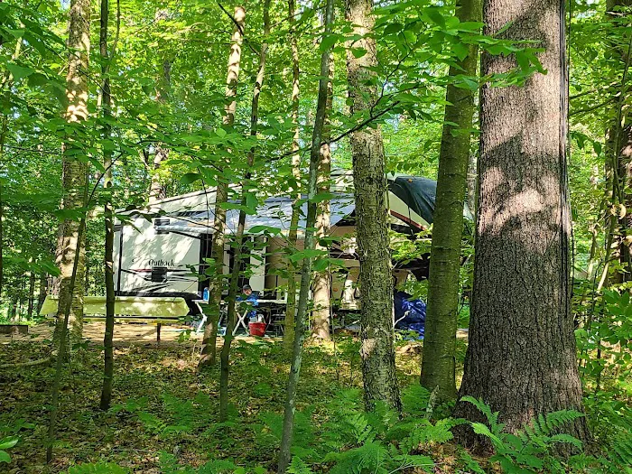 Tree Farm Campground Picture 6
