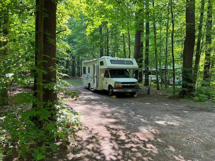 Tree Farm Campground Picture 1
