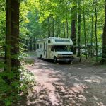 Tree Farm Campground