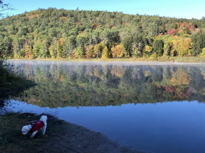 Crown Point Camping Area Picture 10