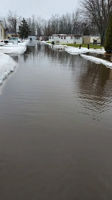 Suburban Rapids Mobile Home Picture 9